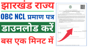 OBC Non-Creamy Layer Certificate Download
