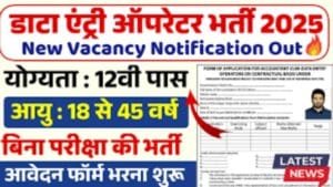 Data Entry Operator Vacancy 2025
